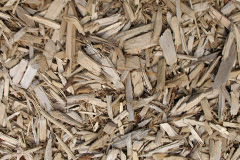 biomass boilers Cannock Wood